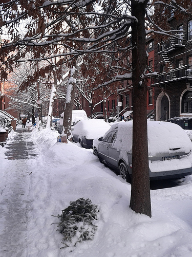 /blog/entries/2011/01/20/snow_in_brooklyn_heights/snow2-944ae63f540b.min.jpg