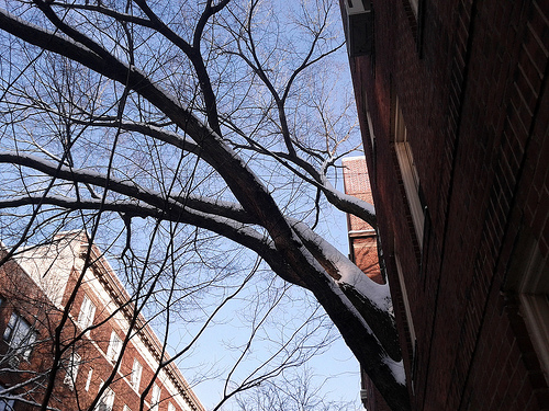 /blog/entries/2011/01/20/snow_in_brooklyn_heights/snow5-24f6bfd61f87.min.jpg